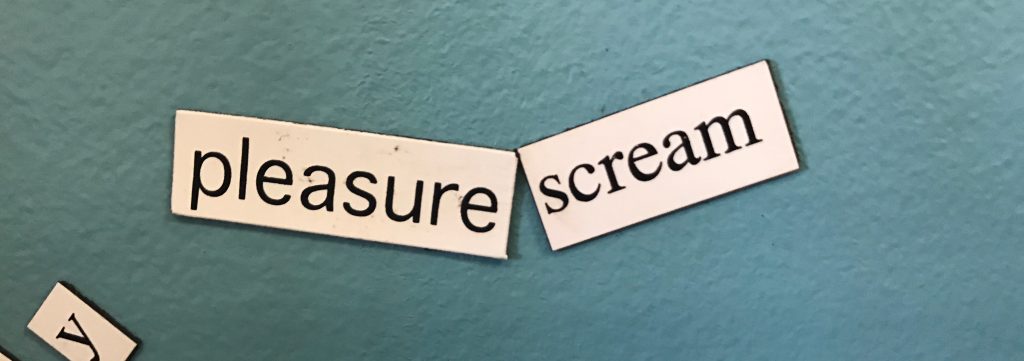 Fig. 1: Two magnetic poetry words placed together on a writing center door that say “pleasure scream."