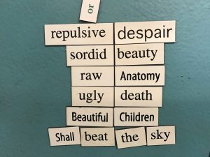 Fig. 2: Magnetic poetry words places together in a poem that says “repulsive despair / sordid beauty / raw anatomy / ugly death / Beautiful Children / Shall beat the sky.”