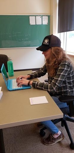 Student sitting at desk, using a laptop