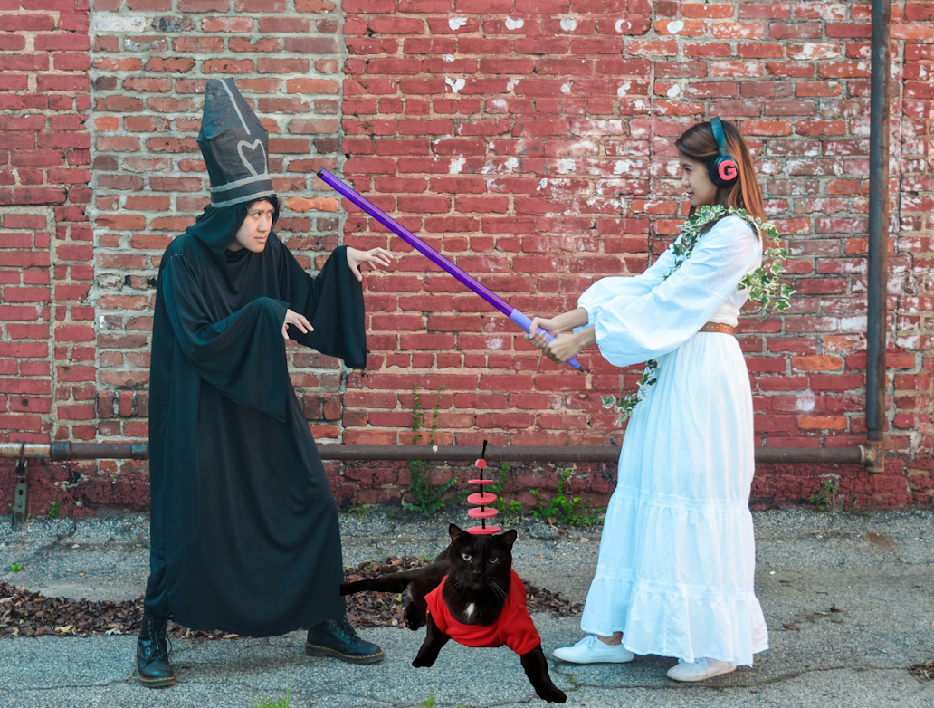 Image 4: “Star Wars cosplayers posing for a Halloween photo with their cat”