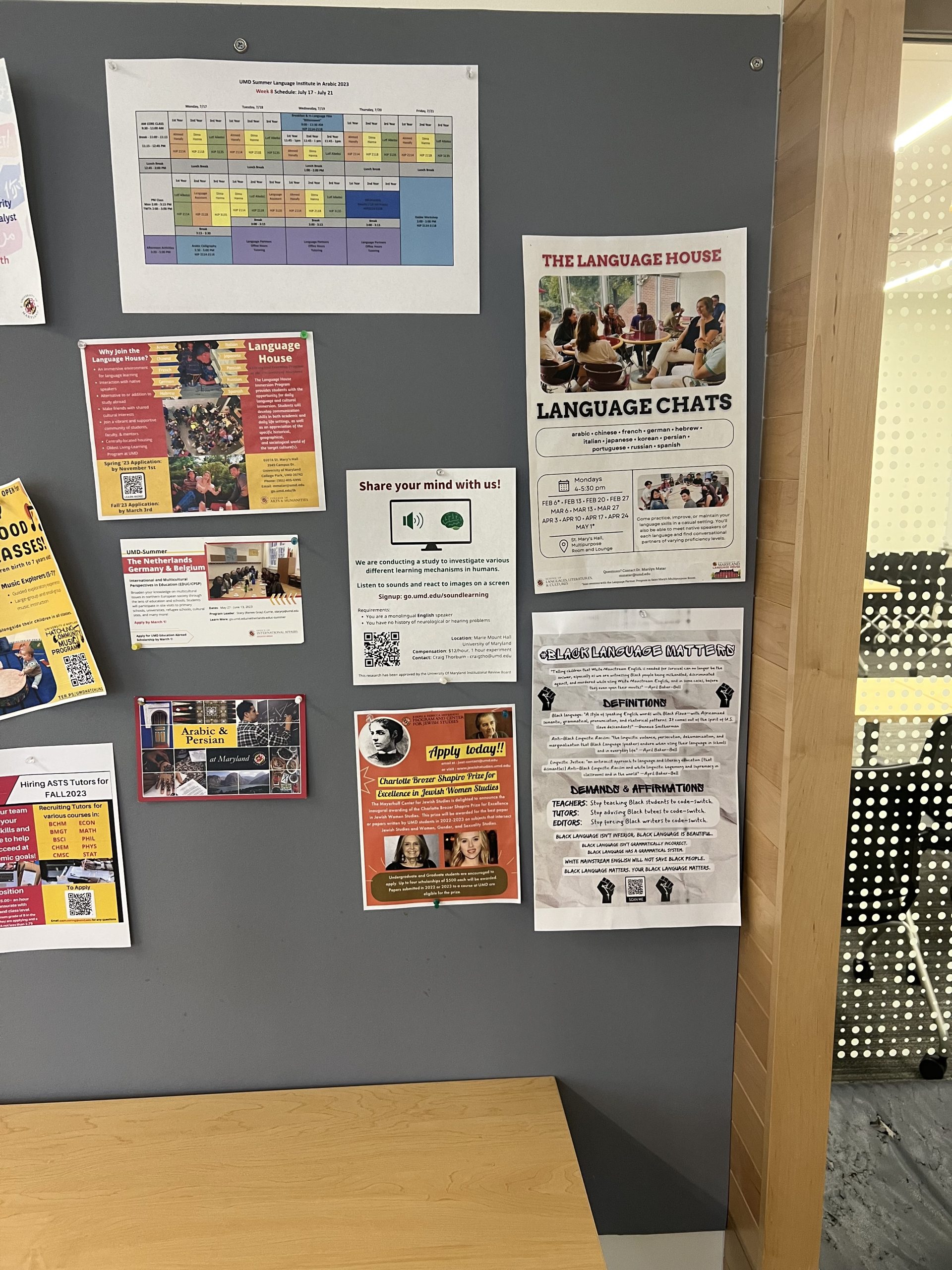 Figure 8: #BlackLanguageMatters poster pinned to a gray bulletin board in a hallway.